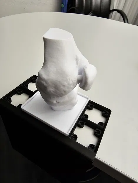 Mô hình đầu gối Gridfinity - Image 2