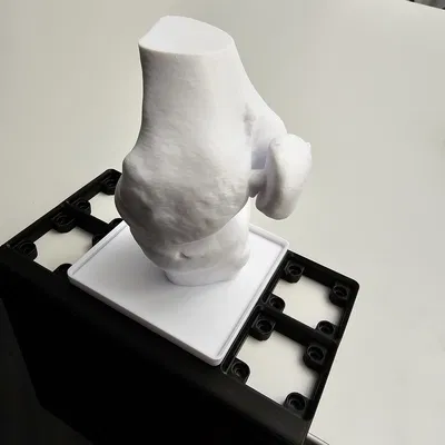 Mô hình đầu gối Gridfinity