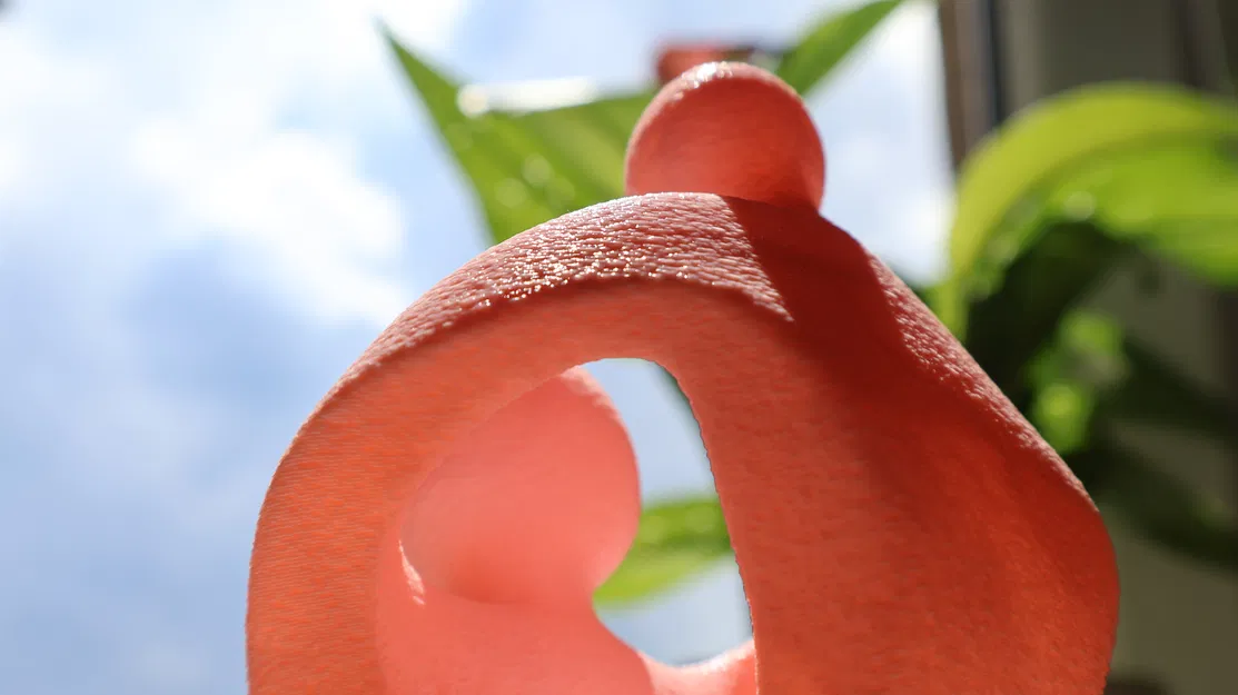 Mô hình điêu khắc Ngày của Mẹ - Phiên bản sửa lỗi - Image 7