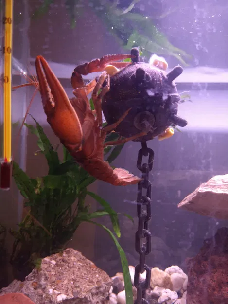 Mìn Thả Trôi Thủy Sinh - Không Hỗ Trợ, Không Keo, Không Dây Buộc - Image 13