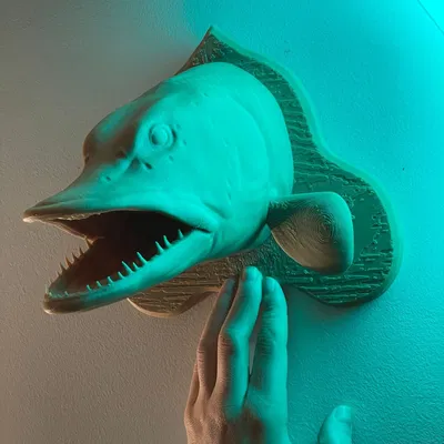 Trang trí đầu cá chó treo tường