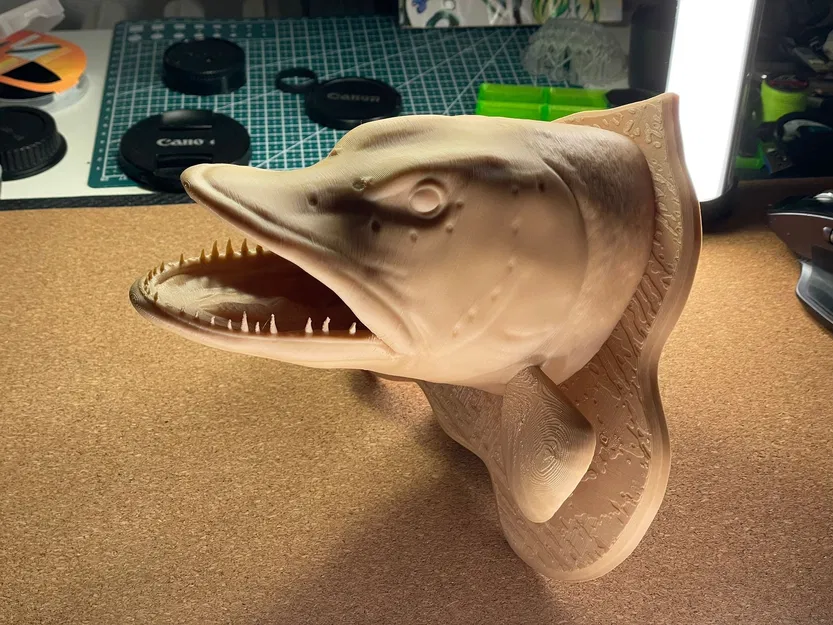 Trang trí đầu cá chó treo tường - Image 2