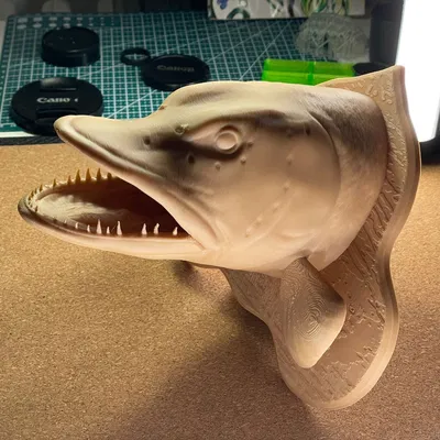 Trang trí đầu cá chó treo tường