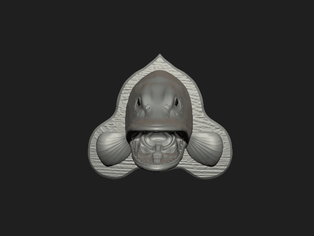 Trang trí đầu cá chó treo tường