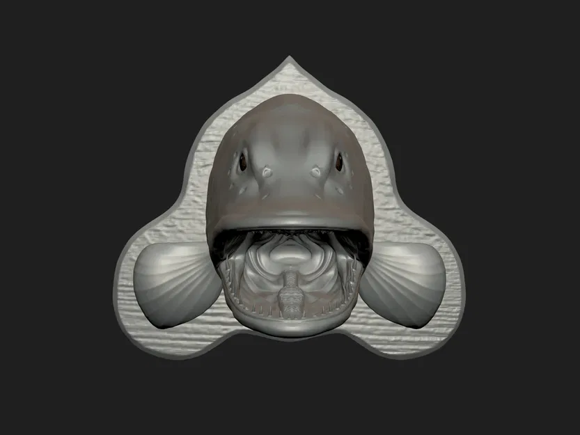 Trang trí đầu cá chó treo tường - Image 7