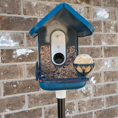 Giá Đựng Viên Mỡ Cho Chim Bird Buddy