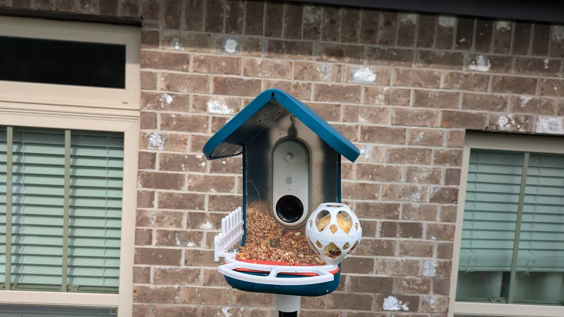 Giá Đựng Viên Mỡ Cho Chim Bird Buddy - Image 4