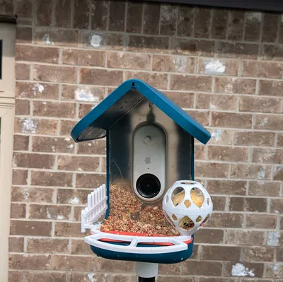 Giá Đựng Viên Mỡ Cho Chim Bird Buddy