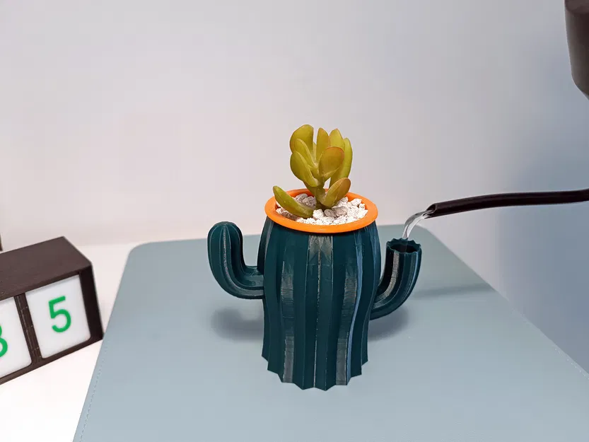 Chậu Xương Rồng Tự Tưới Nước - Image 2