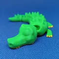 Coco, Cá sấu Khớp nối - Mô hình 3D in theo khớp - Thumbnail 14
