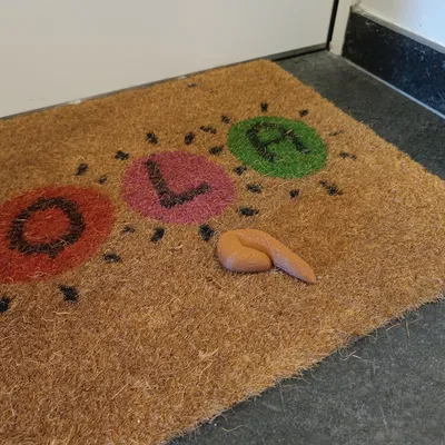 PHÂN THẬT REAL POOP®