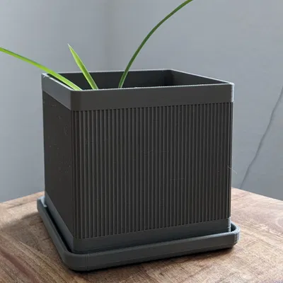 Chậu Cây Hình Khối