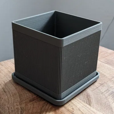 Chậu Cây Hình Khối