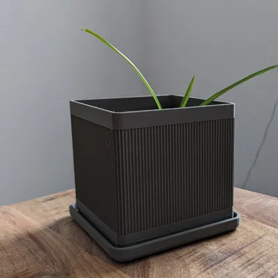 Chậu Cây Hình Khối