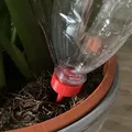 Dụng Cụ Tưới Cây Tự Động Bằng Chai PET - Thumbnail 1