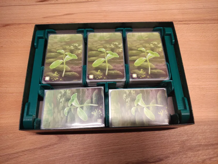 Hộp Đựng (Insert) Cho Forest Shuffle / Mischwald Có Mở Rộng - Image 1