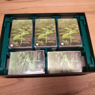 Hộp Đựng (Insert) Cho Forest Shuffle / Mischwald Có Mở Rộng