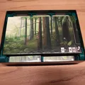 Hộp Đựng (Insert) Cho Forest Shuffle / Mischwald Có Mở Rộng - Thumbnail 2