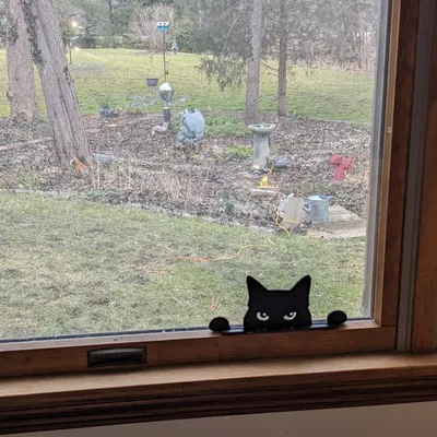 Hình Bóng Mèo Nhìn Lén - Bản Chỉnh Sửa - Ba Phiên Bản