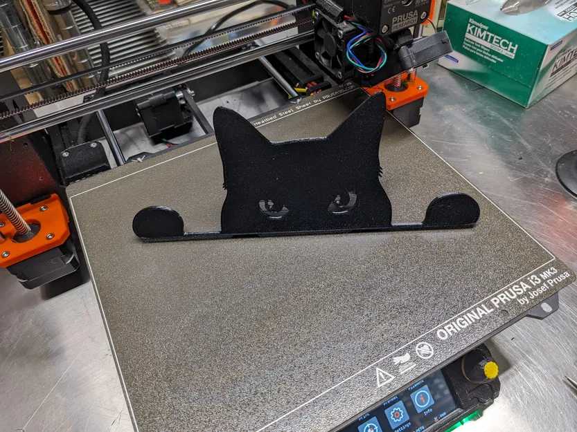 Hình Bóng Mèo Nhìn Lén - Bản Chỉnh Sửa - Ba Phiên Bản - Image 5