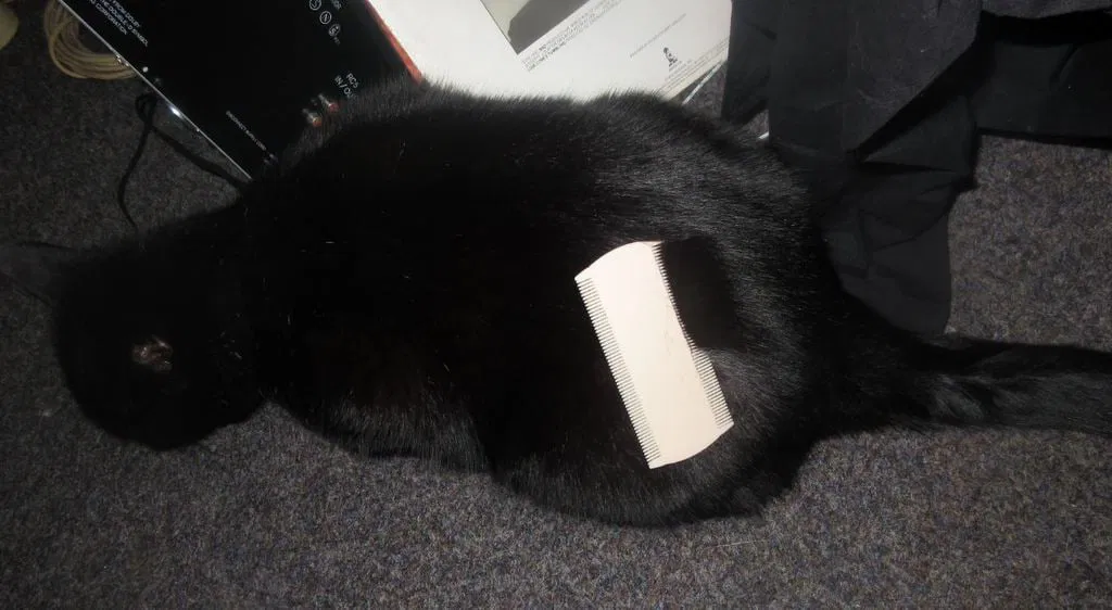 Lược Gỡ Rận Kép Cho Mèo Hoặc Khỉ - Image 1