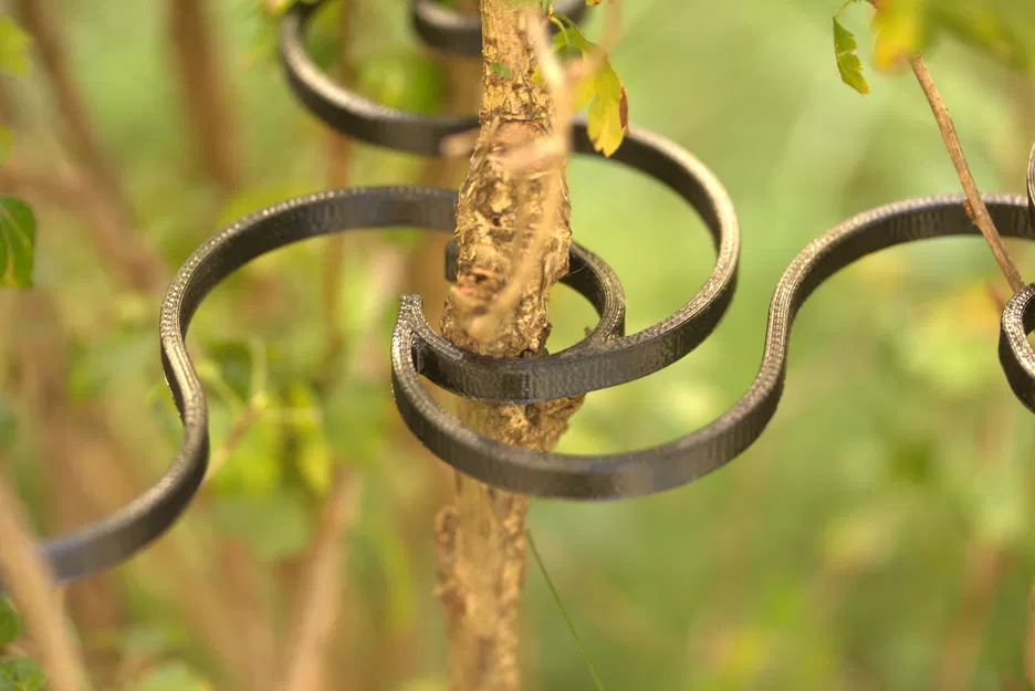 Susi-Clip - Hệ thống kẹp làm vườn cho cây và hỗ trợ tán - Image 1