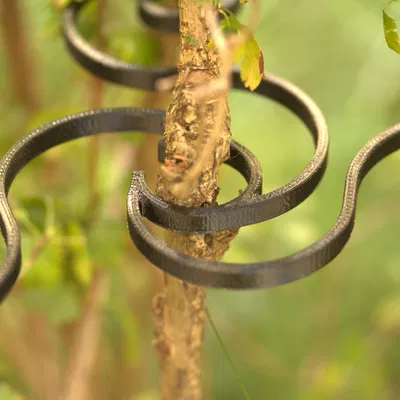 Susi-Clip - Hệ thống kẹp làm vườn cho cây và hỗ trợ tán