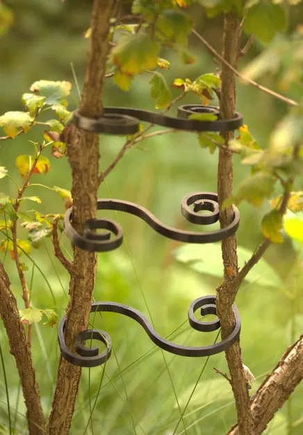 Susi-Clip - Hệ thống kẹp làm vườn cho cây và hỗ trợ tán - Image 3