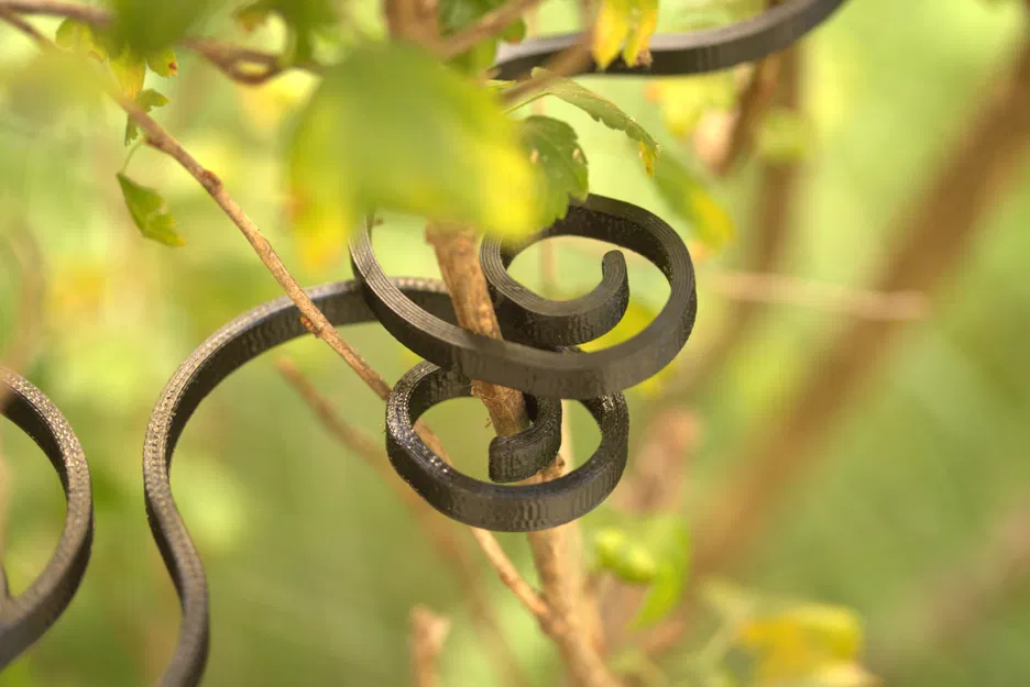 Susi-Clip - Hệ thống kẹp làm vườn cho cây và hỗ trợ tán - Image 6