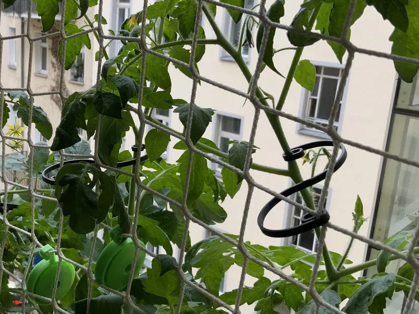 Susi-Clip - Hệ thống kẹp làm vườn cho cây và hỗ trợ tán - Image 9