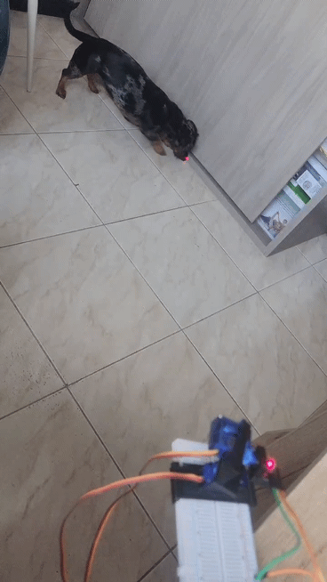 Đồ chơi laser cho mèo & chó - Image 2