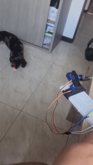 Đồ chơi laser cho mèo & chó - Image 3