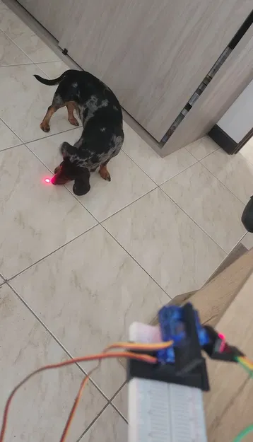 Đồ chơi laser cho mèo & chó - Image 6