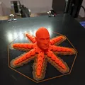 Rocktopus - Mô hình in 3D - Thumbnail 3