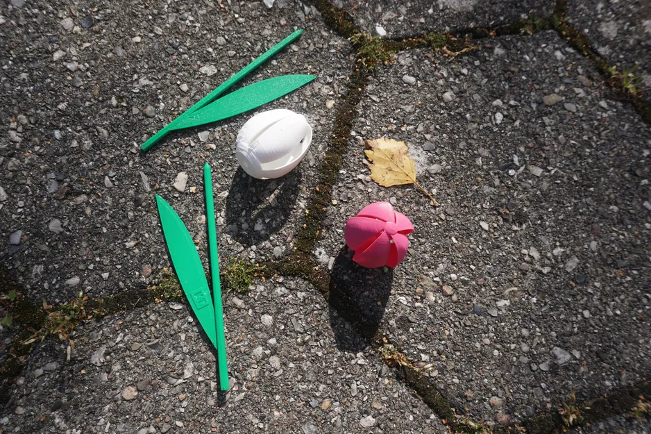 Cối Xay Gió Hoa Tulip - In Dễ Dàng - Image 4