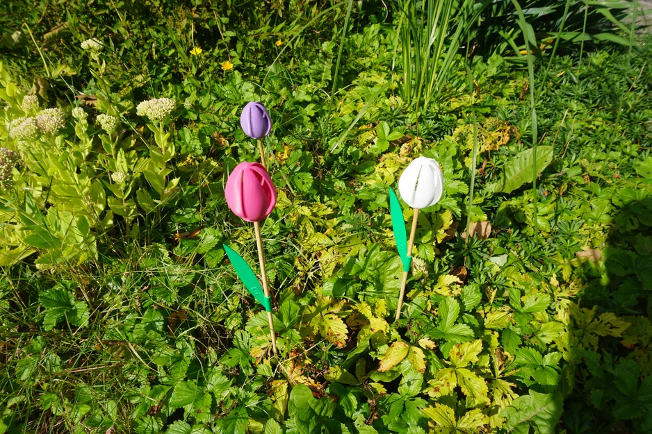 Cối Xay Gió Hoa Tulip - In Dễ Dàng - Image 5