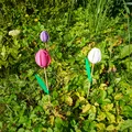Cối Xay Gió Hoa Tulip - In Dễ Dàng - Thumbnail 5