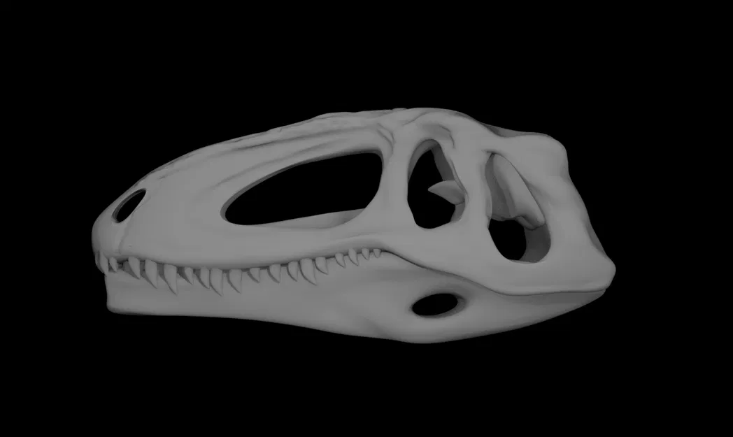 Hộp sọ Giganotosaurus (Làm lại) - Image 2