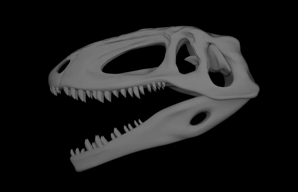 Hộp sọ Giganotosaurus (Làm lại) - Image 3