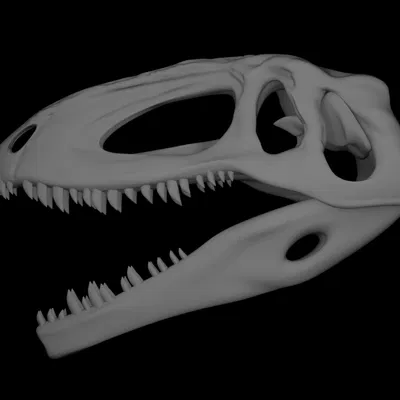 Hộp sọ Giganotosaurus (Làm lại)