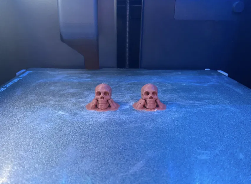 Đầu Lâu Dummy 13 - Image 2