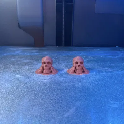 Đầu Lâu Dummy 13