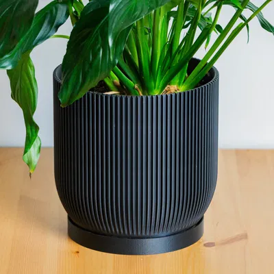 Chậu Aspire có lỗ thoát nước và khay hứng nước