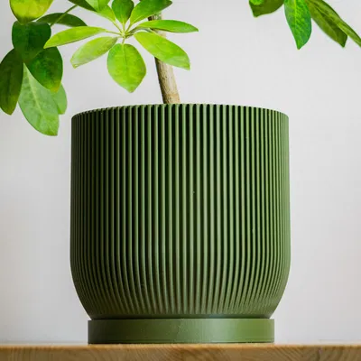 Chậu Aspire có lỗ thoát nước và khay hứng nước