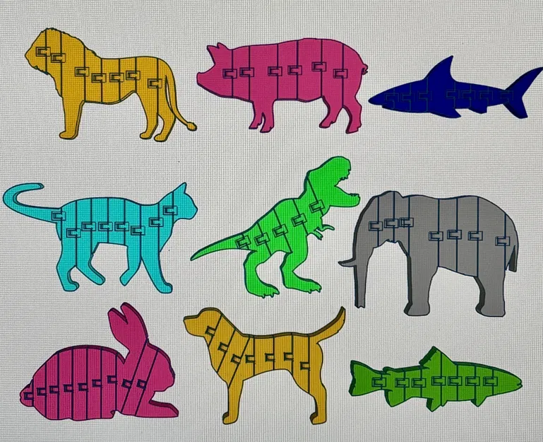 Thú Cưng Uốn Dẻo - Image 2