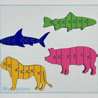 Thú Cưng Uốn Dẻo