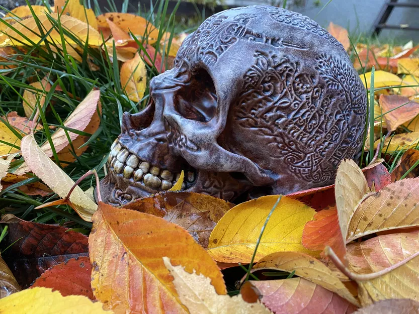 Hộp sọ Celtic - Image 4