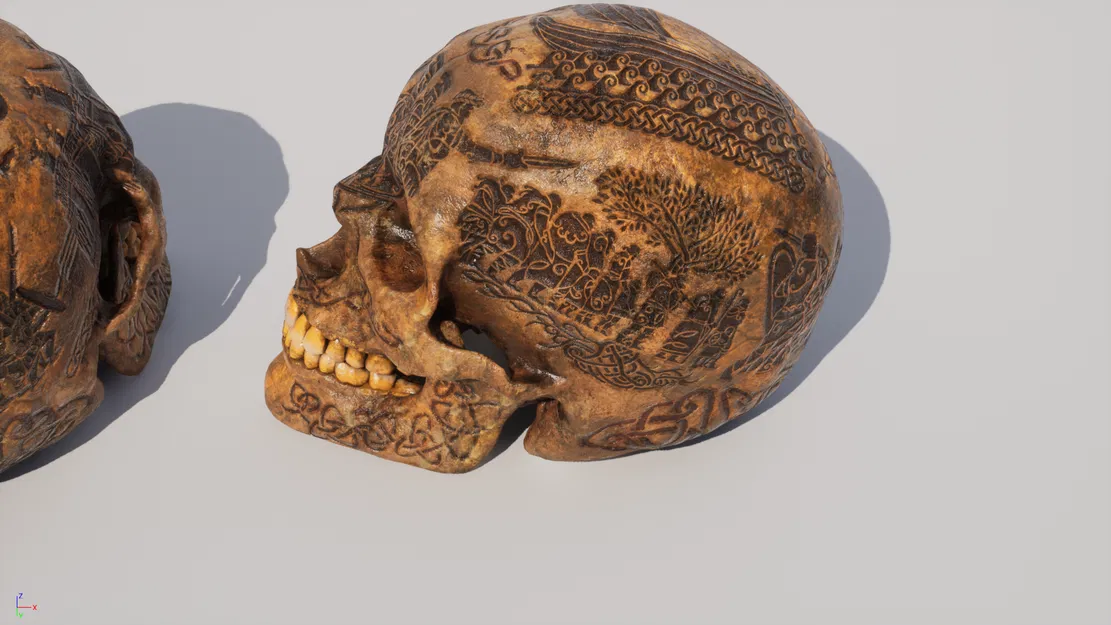 Hộp sọ Celtic - Image 8