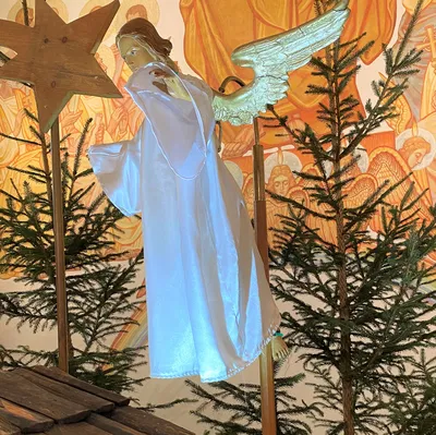 Cánh Mới Cho Thiên Thần Thông Báo Giáng Sinh Của Chúng Ta