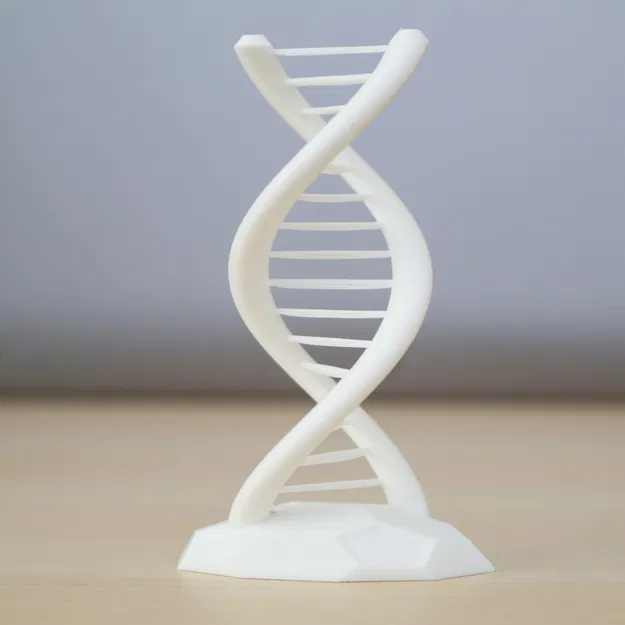 DNA Xoắn Kép - Thử Thách Cầu Nối - Image 1